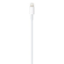 Apple Original Genuine USB-C to Lightning Cable for iPhone iPad